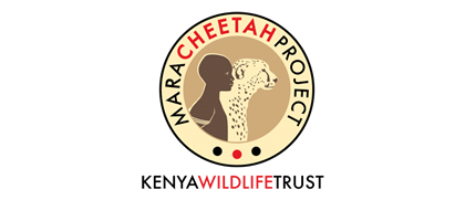 Mara cheetahs